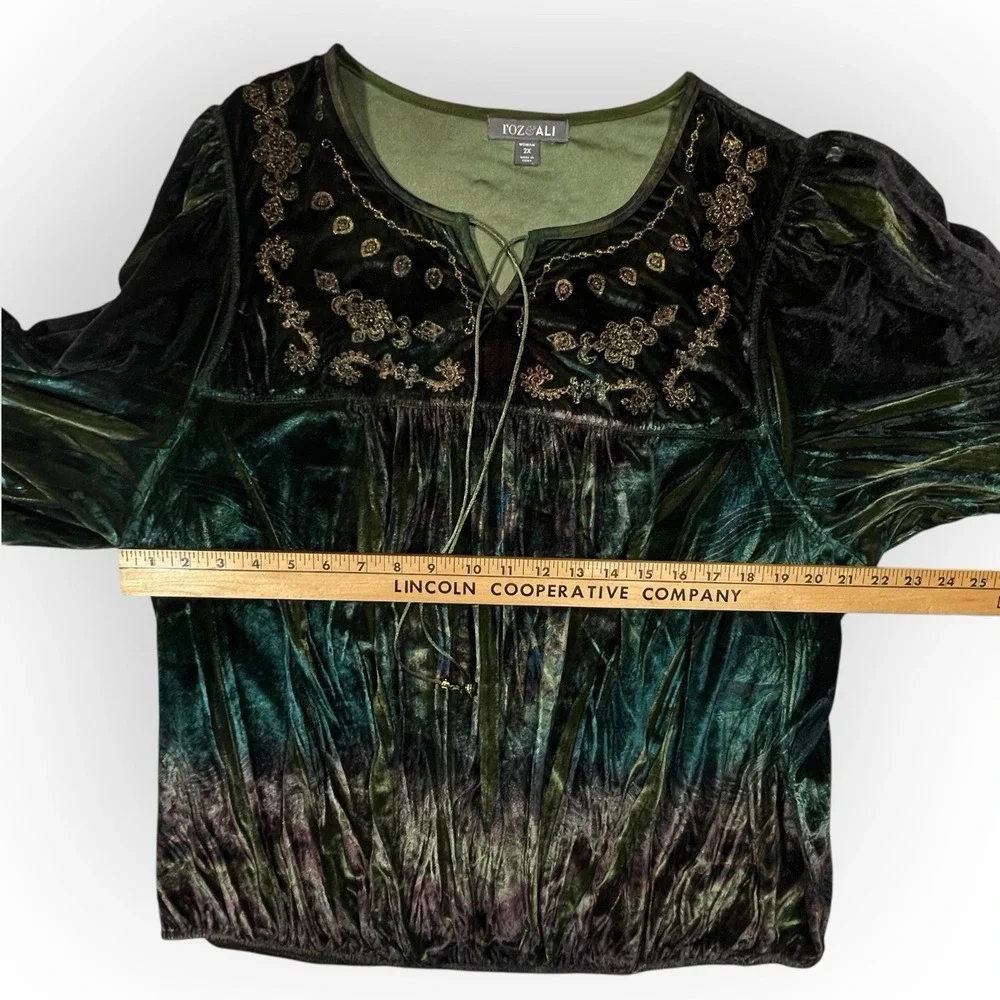 Roz & Ali Iridescent Green Velvet Top Embroidered Dark Fairy Whimsigoth Womens L